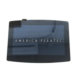 Display - P0700WVF1MAAADA01