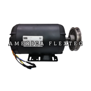 Motor Elétrico WEG - W01 Rolled Steel - G56H
