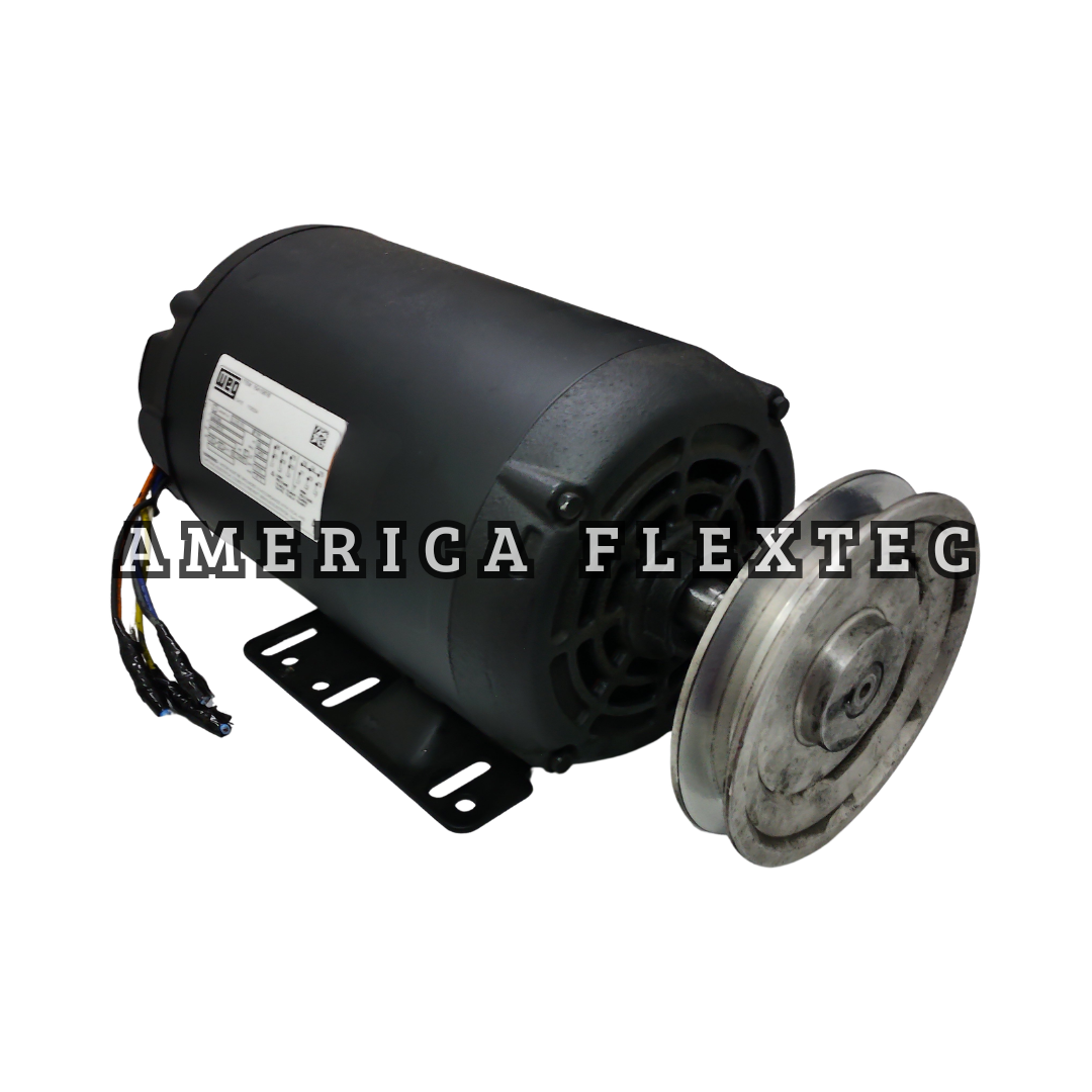 Motor Elétrico WEG - W01 Rolled Steel - G56H (4)